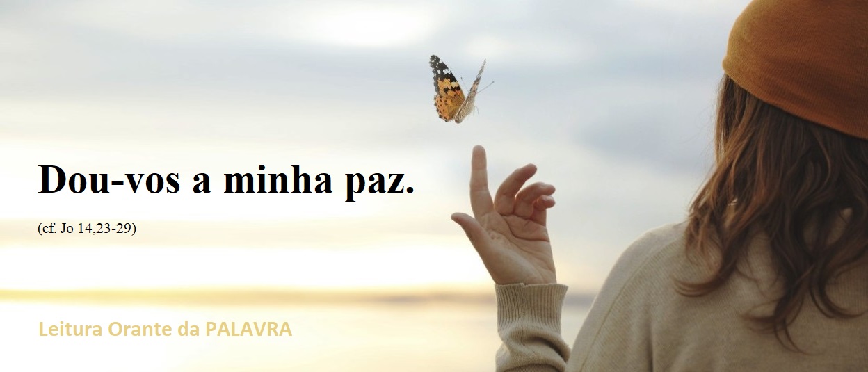 6 PASCOA CC